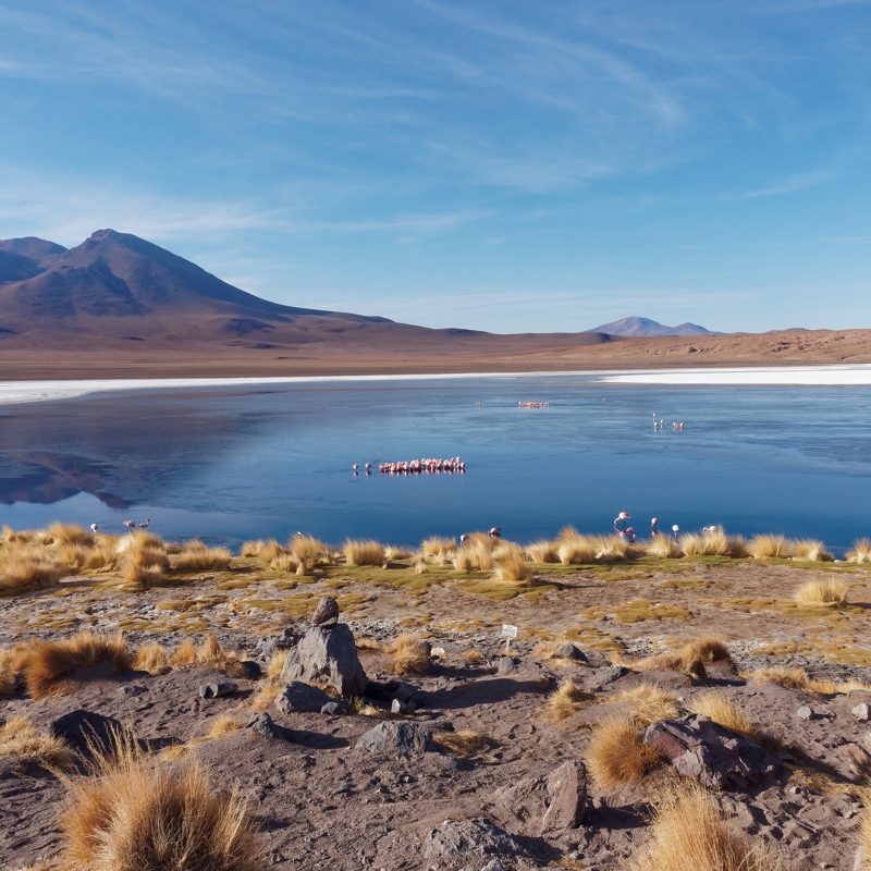Berg, See, Flamingos in Bolivien